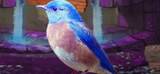 WESTERN BLUEBIRD ESCAPE