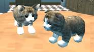 Los gatos son animales lindos… pero también les gusta causar problemas y destruir cosas… ¡y este es el objetivo principal de este impresionante juego 3D! Como el lindo […]