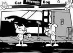 CAT VS DOG FIGHTER
